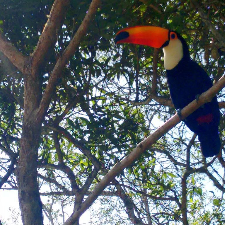 Pousada Tucano Do Cuiaba Itaipava Ngoại thất bức ảnh