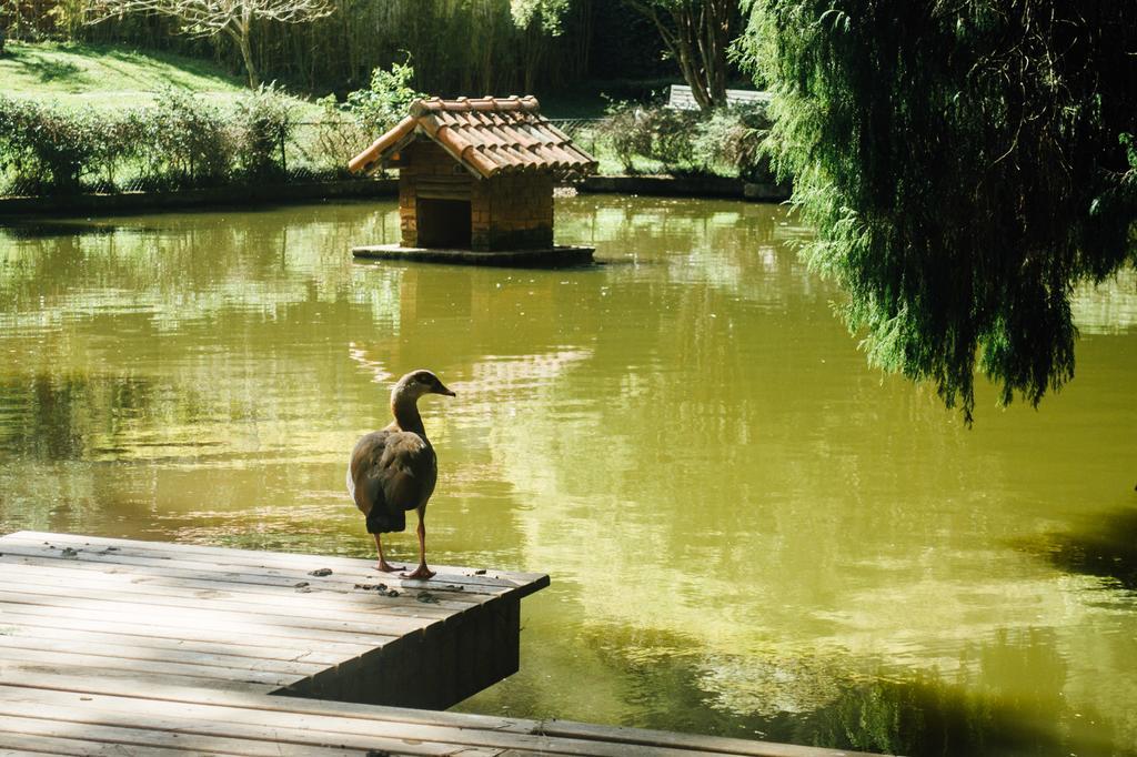Pousada Tucano Do Cuiaba Itaipava Ngoại thất bức ảnh